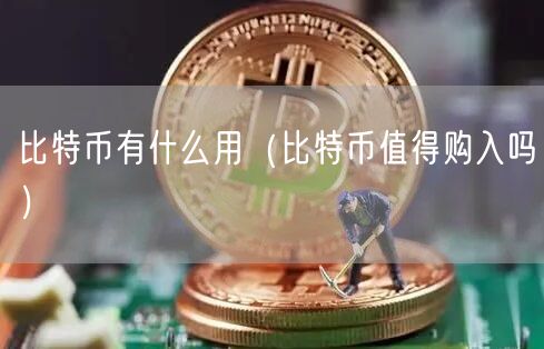 比特币有什么用（比特币值得购入吗）-第1张图片-binance下载
