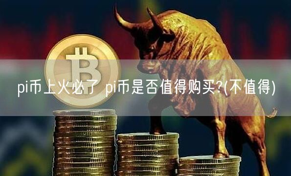 pi币上火必了 pi币是否值得购买?(不值得)-第1张图片-binance下载