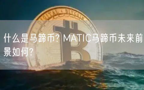 什么是马蹄币? MATIC马蹄币未来前景如何?-第1张图片-binance下载