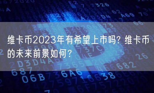 维卡币2023年有希望上市吗? 维卡币的未来前景如何？-第1张图片-binance下载