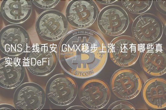 GNS上线binance GMX稳步上涨 还有哪些真实收益DeFi-第1张图片-binance下载