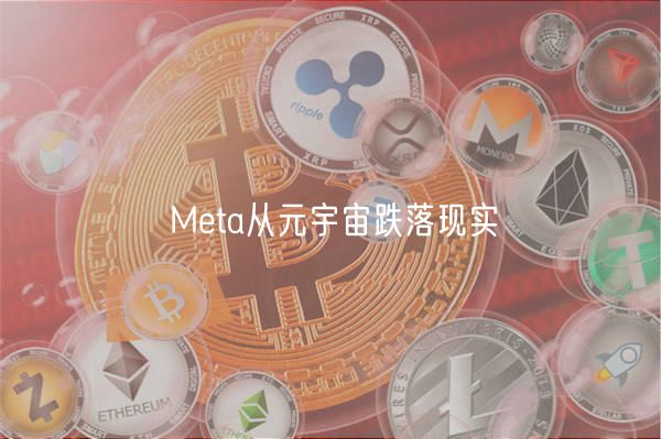 Meta从元宇宙跌落现实-第1张图片-binance下载