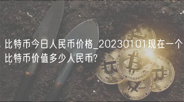 比特币今日人民币价格_20230101现在一个比特币价值多少人民币?-第1张图片-binance下载