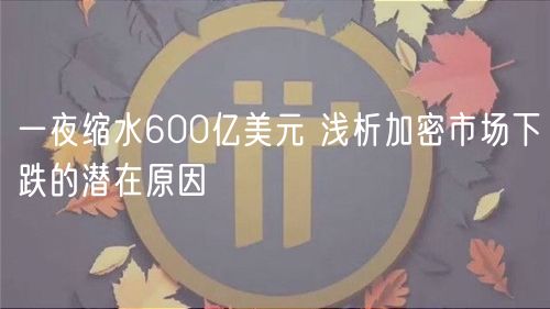 一夜缩水600亿美元 浅析加密市场下跌的潜在原因-第1张图片-binance下载