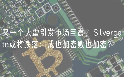 又一个大雷引发市场巨震？Silvergate或将跌落：成也加密败也加密？-第1张图片-binance下载