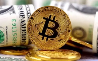碧桂园支持pi币支付了吗 pi币能涨到多少（不可以）