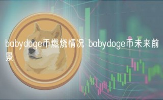 babydoge币燃烧情况 babydoge币未来前景