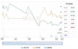 DXY币值多少钱 DXY币未来价值