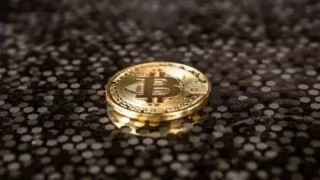 TDX币今天的价格是多少