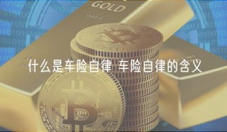 什么是车险自律 车险自律的含义
