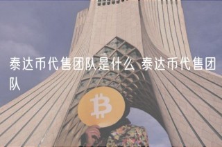 泰达币代售团队是什么 泰达币代售团队