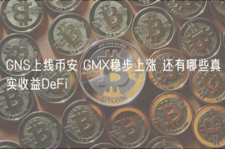 GNS上线binance GMX稳步上涨 还有哪些真实收益DeFi