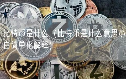 比特币是什么（比特币是什么意思小白简单化解释）-第1张图片-binance下载