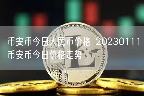 binance币今日人民币价格_20230111binance币今日价格走势-第1张图片-binance下载