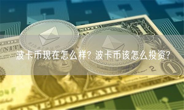 波卡币现在怎么样? 波卡币该怎么投资?-第1张图片-binance下载
