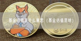 基金估值是什么意思（基金估值是啥）
