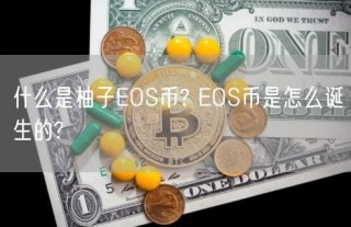 什么是柚子EOS币? EOS币是怎么诞生的?