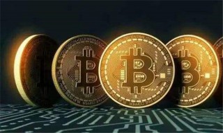 新币交易所官网(币新官网登录)