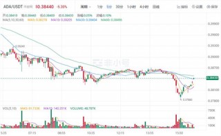 艾达币今日最新价格 ADA最新行情查询