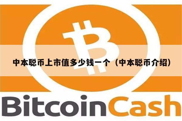 中本聪币上市值多少钱一个（中本聪币介绍）-第1张图片-欧意易下载