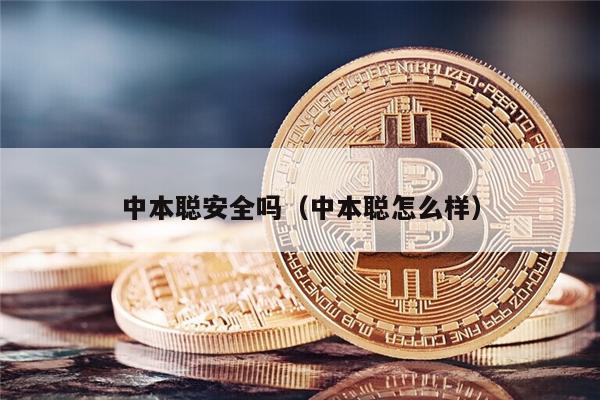 中本聪安全吗（中本聪怎么样）-第1张图片-欧意易下载