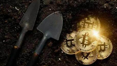 shib币今天价格(shib币今日的价格行情)-第1张图片-binance下载