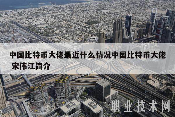 中国比特币大佬最近什么情况中国比特币大佬 宋伟江简介-第1张图片-binance下载