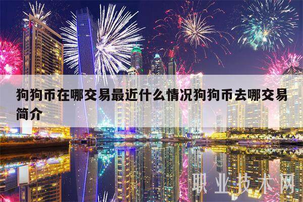 狗狗币在哪交易最近什么情况狗狗币去哪交易简介-第1张图片-binance下载