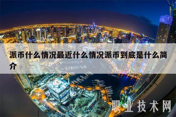 派币什么情况最近什么情况派币到底是什么简介-第1张图片-binance下载