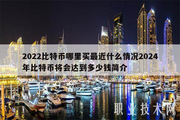 2022比特币哪里买最近什么情况2024年比特币将会达到多少钱简介-第1张图片-binance下载