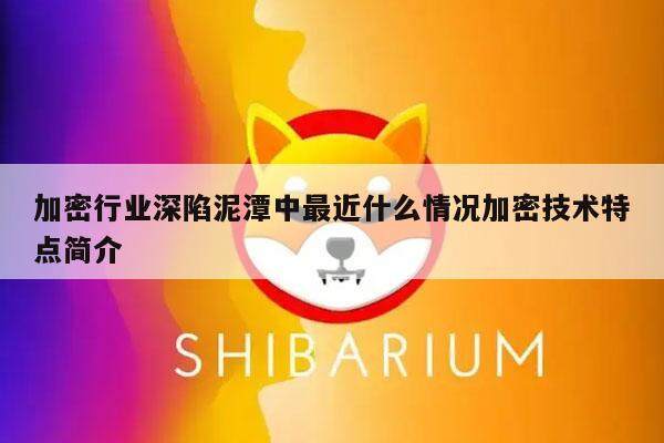 加密行业深陷泥潭中最近什么情况加密技术特点简介-第1张图片-binance下载