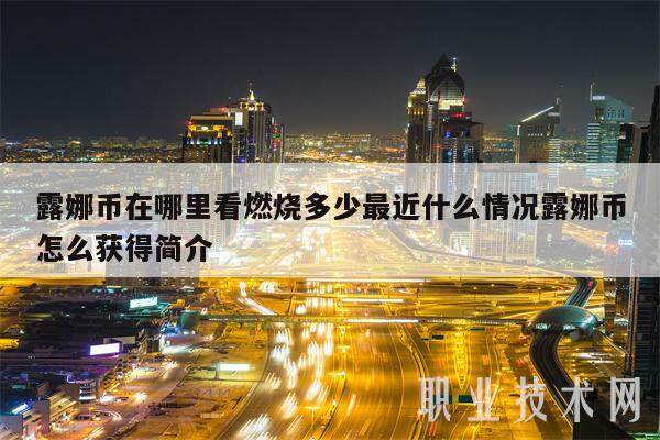 露娜币在哪里看燃烧多少最近什么情况露娜币怎么获得简介-第1张图片-binance下载