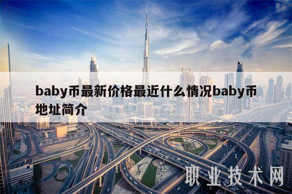 baby币最新价格最近什么情况baby币地址简介-第1张图片-binance下载