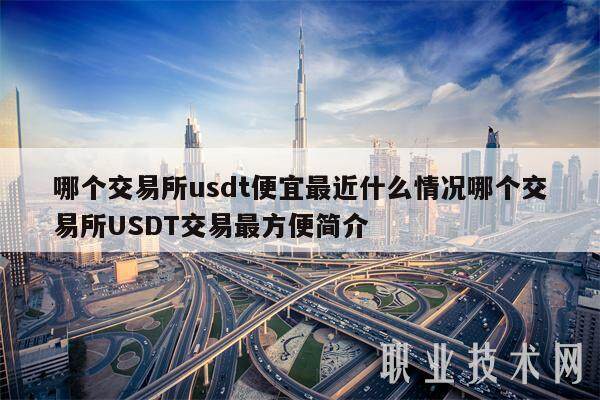 哪个交易所usdt便宜最近什么情况哪个交易所USDT交易最方便简介-第1张图片-binance下载