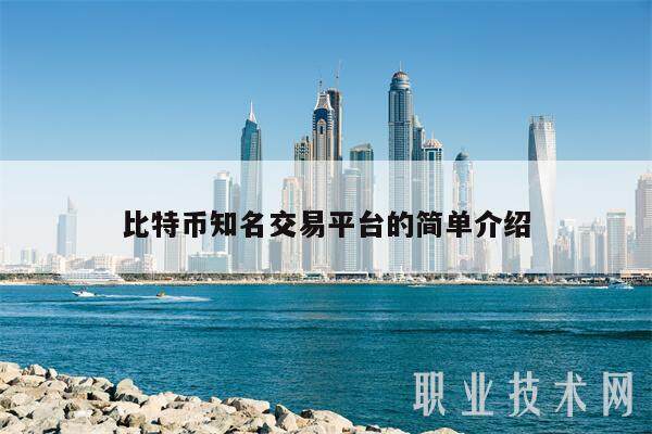 比特币知名交易平台的简单介绍-第1张图片-binance下载