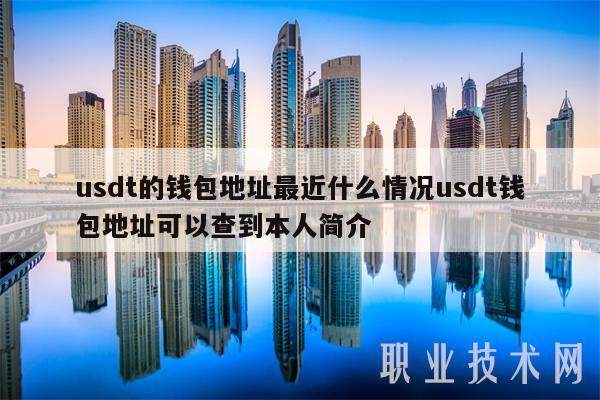 usdt的钱包地址最近什么情况usdt钱包地址可以查到本人简介-第1张图片-binance下载