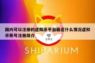 国内可以注册的虚拟币平台最近什么情况虚拟币账号注册简介