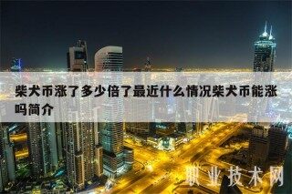 柴犬币涨了多少倍了最近什么情况柴犬币能涨吗简介