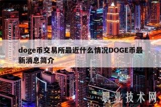 doge币交易所最近什么情况DOGE币最新消息简介
