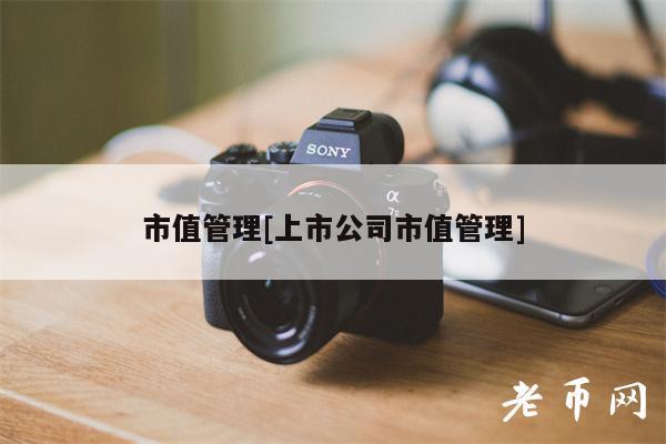市值管理[上市公司市值管理]-第1张图片-欧意易下载