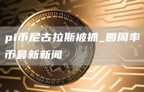 pi币尼古拉斯被抓_圆周率币最新新闻