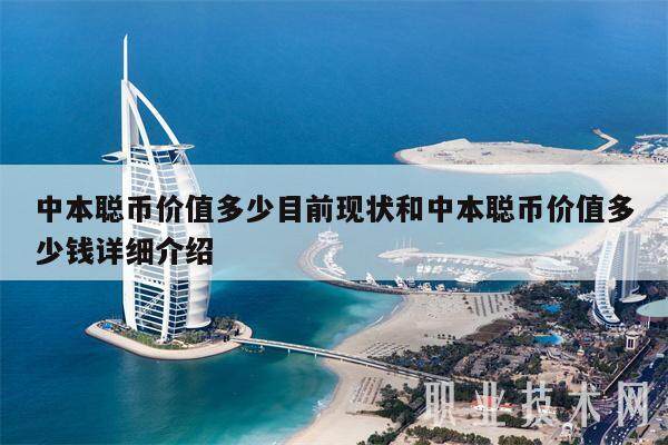 中本聪币价值多少目前现状和中本聪币价值多少钱详细介绍-第1张图片-binance下载