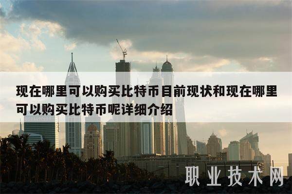 现在哪里可以购买比特币目前现状和现在哪里可以购买比特币呢详细介绍-第1张图片-binance下载