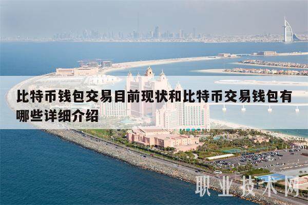 比特币钱包交易目前现状和比特币交易钱包有哪些详细介绍-第1张图片-binance下载