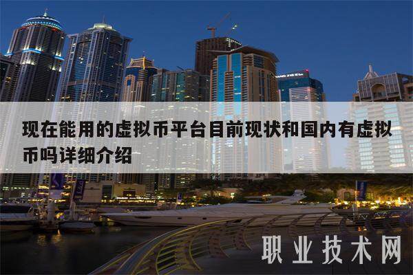 现在能用的虚拟币平台目前现状和国内有虚拟币吗详细介绍-第1张图片-binance下载