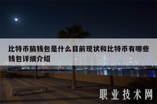 比特币脑钱包是什么目前现状和比特币有哪些钱包详细介绍-第1张图片-binance下载