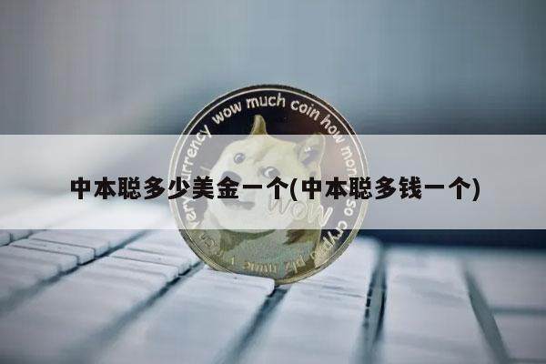 中本聪多少美金一个(中本聪多钱一个)-第1张图片-binance下载
