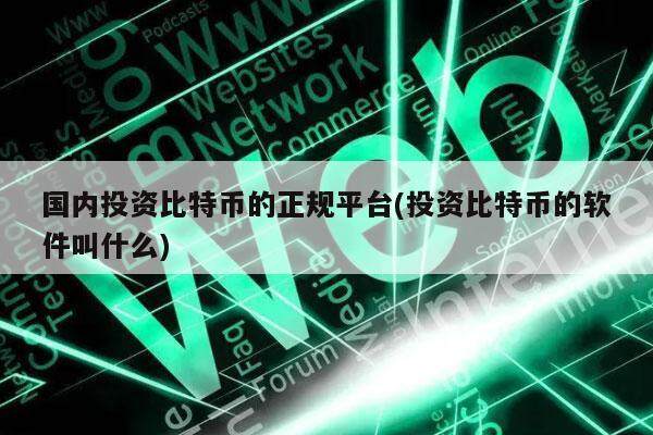 国内投资比特币的正规平台(投资比特币的软件叫什么)-第1张图片-binance下载