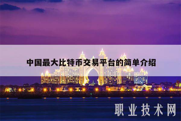 中国最大比特币交易平台的简单介绍-第1张图片-binance下载