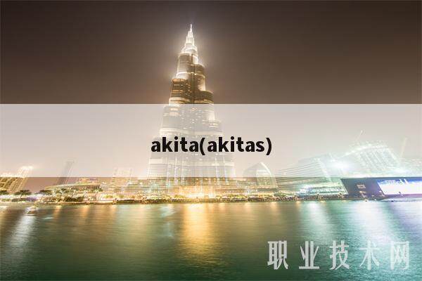 akita(akitas)-第1张图片-binance下载